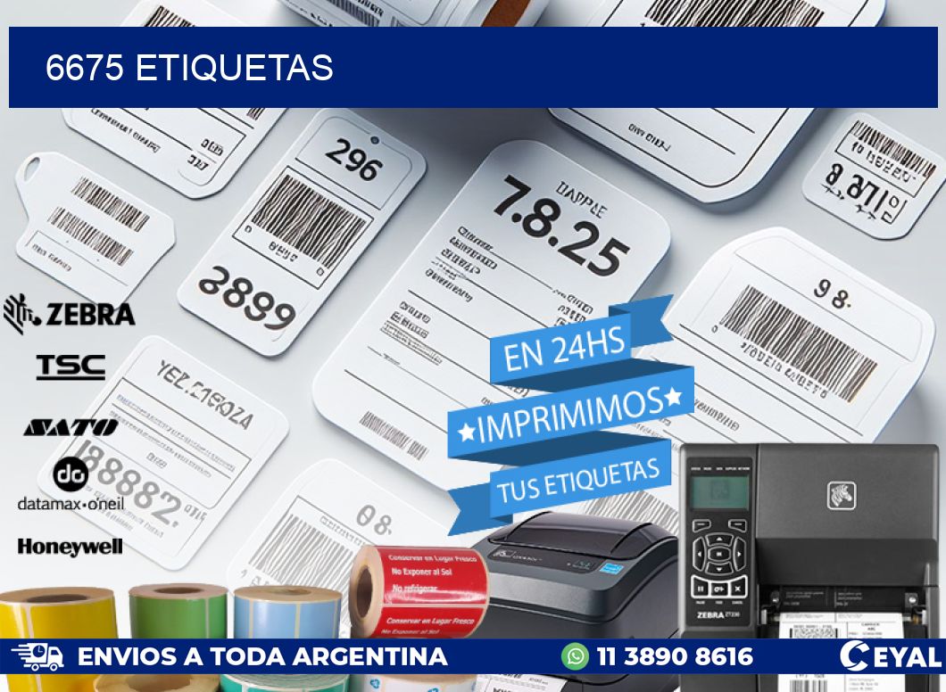 6675 ETIQUETAS