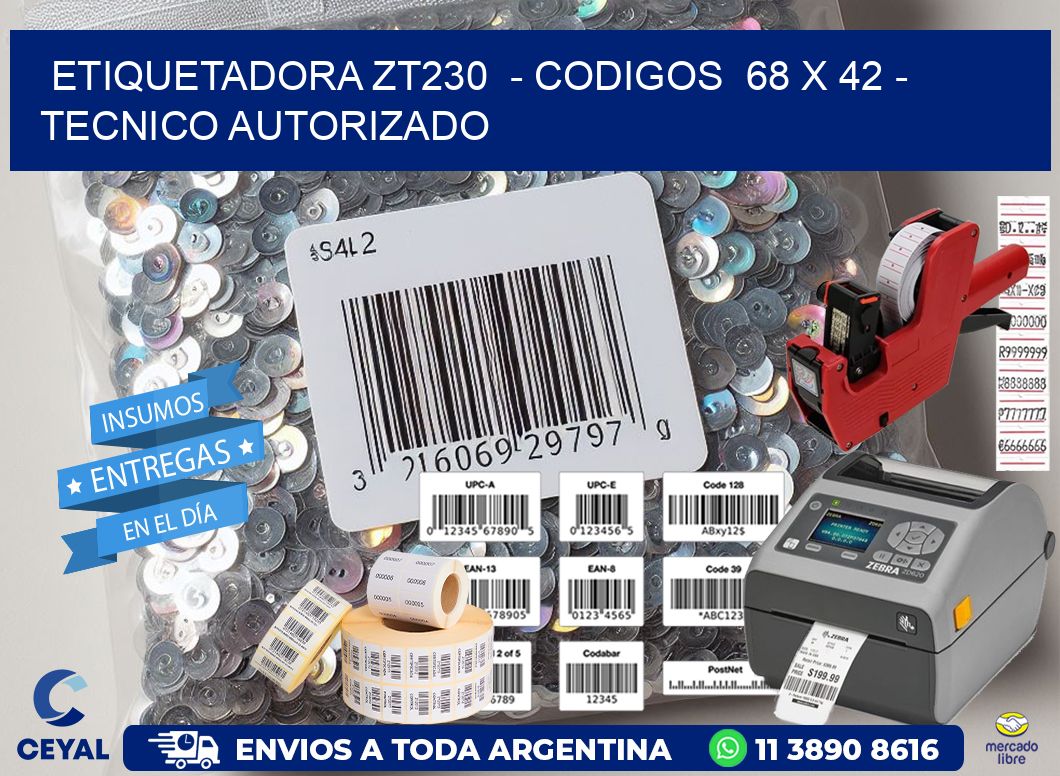 ETIQUETADORA ZT230  - CODIGOS  68 x 42 - TECNICO AUTORIZADO