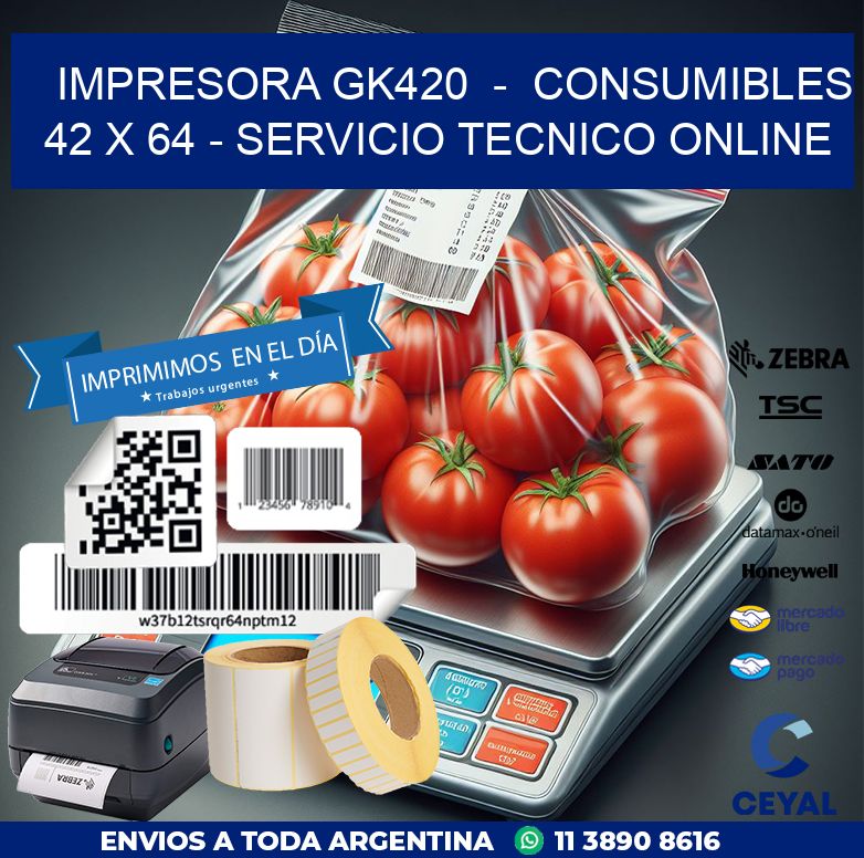 IMPRESORA GK420  –  CONSUMIBLES 42 x 64 – SERVICIO TECNICO ONLINE