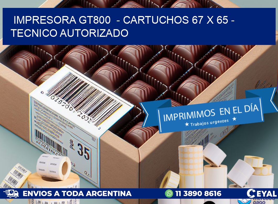 IMPRESORA GT800  - CARTUCHOS 67 x 65 - TECNICO AUTORIZADO