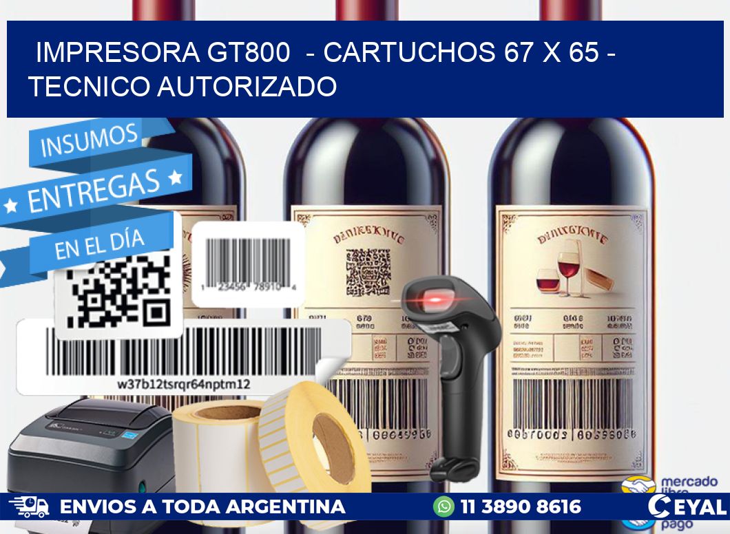 IMPRESORA GT800  - CARTUCHOS 67 x 65 - TECNICO AUTORIZADO