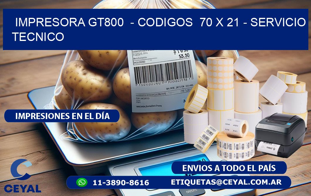 IMPRESORA GT800  - CODIGOS  70 x 21 - SERVICIO TECNICO