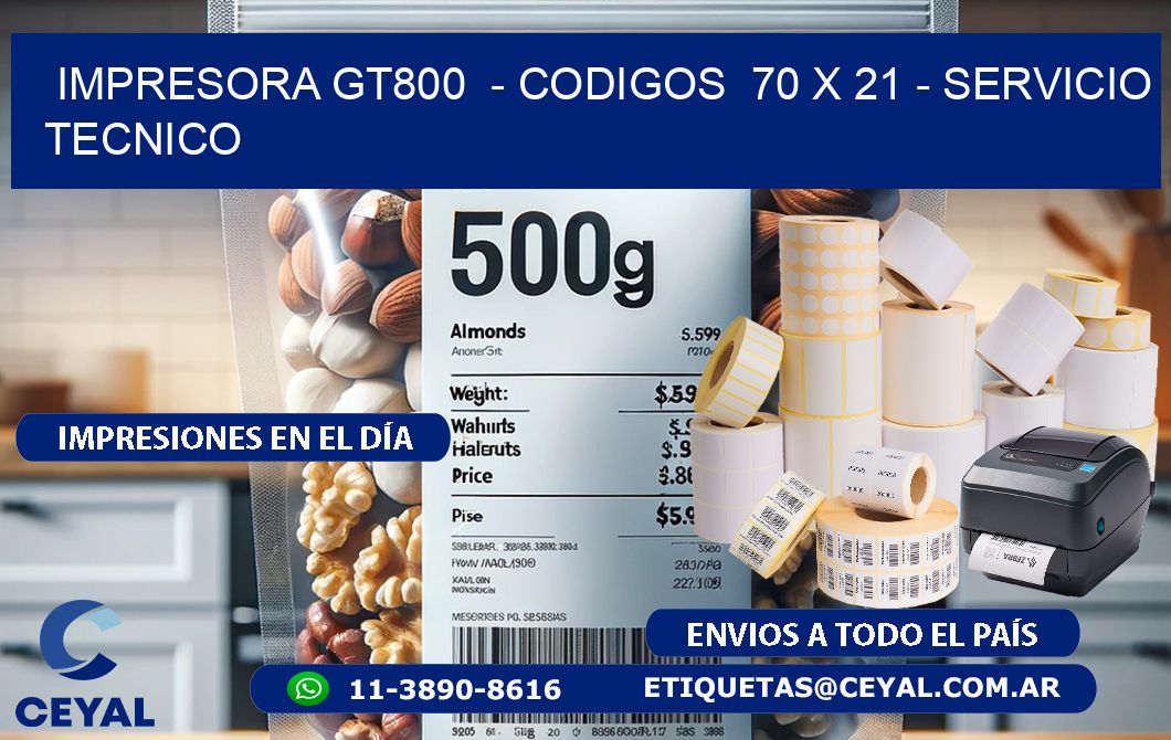 IMPRESORA GT800  - CODIGOS  70 x 21 - SERVICIO TECNICO