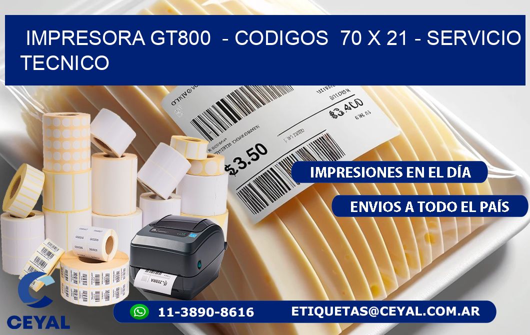 IMPRESORA GT800  - CODIGOS  70 x 21 - SERVICIO TECNICO