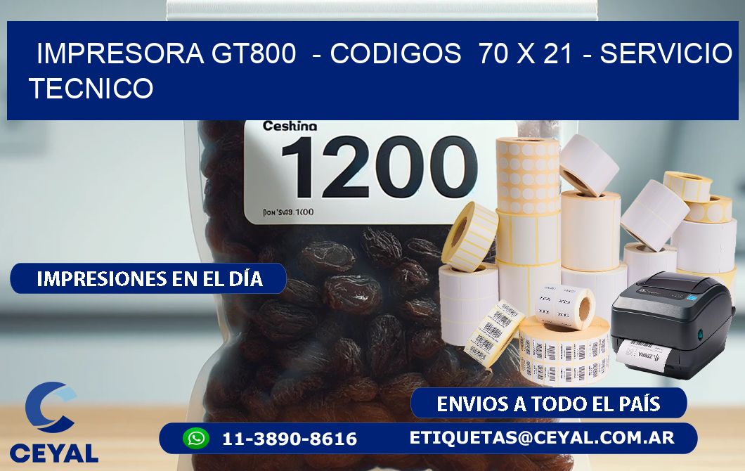 IMPRESORA GT800  - CODIGOS  70 x 21 - SERVICIO TECNICO