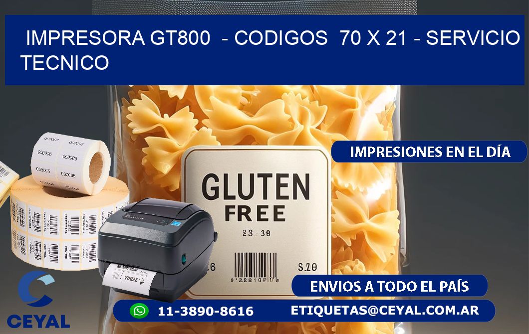 IMPRESORA GT800  – CODIGOS  70 x 21 – SERVICIO TECNICO