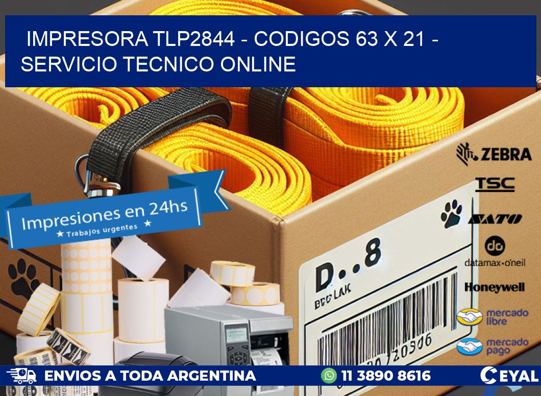 IMPRESORA TLP2844 - CODIGOS 63 x 21 - SERVICIO TECNICO ONLINE