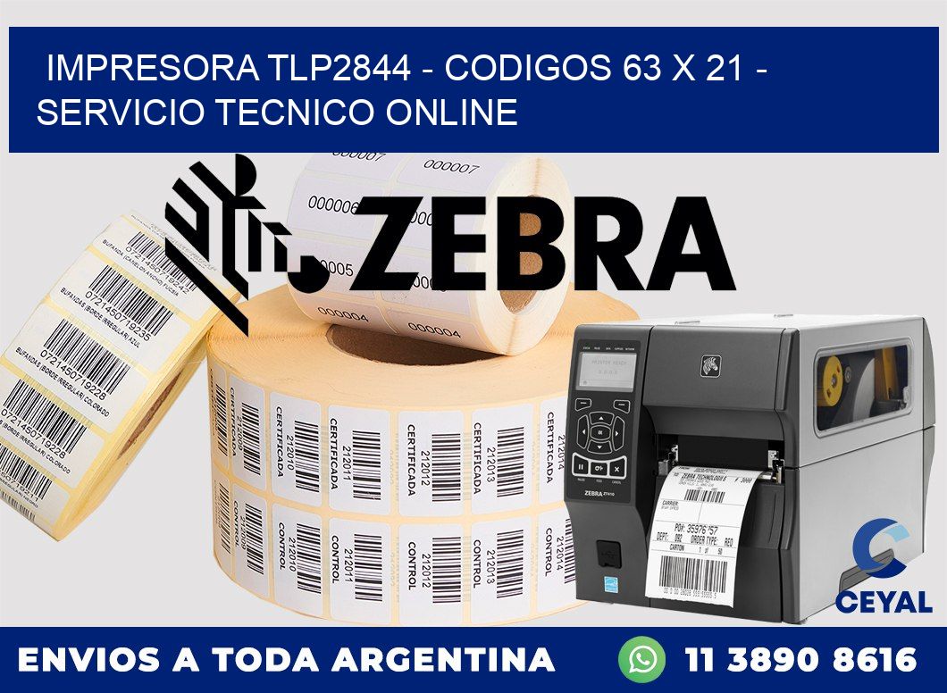 IMPRESORA TLP2844 - CODIGOS 63 x 21 - SERVICIO TECNICO ONLINE