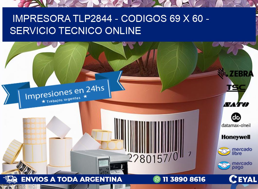 IMPRESORA TLP2844 - CODIGOS 69 x 60 - SERVICIO TECNICO ONLINE
