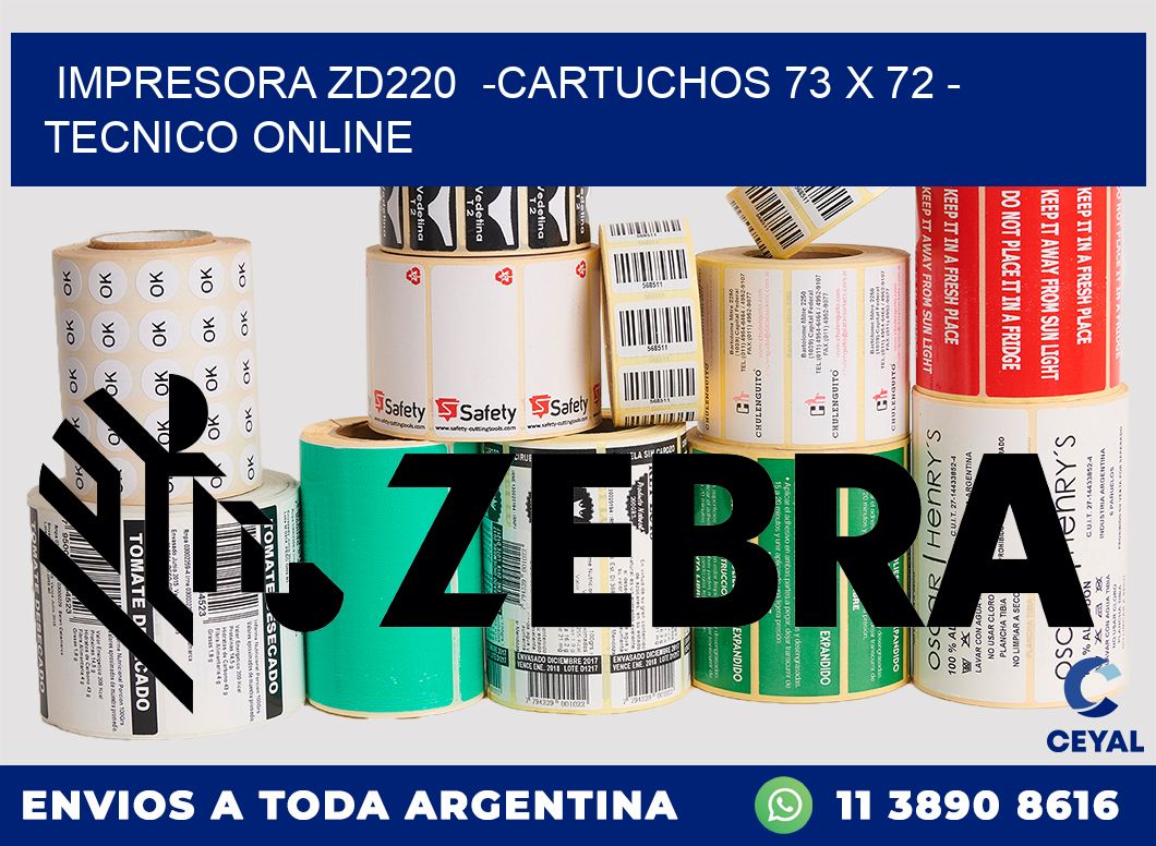 IMPRESORA ZD220  -CARTUCHOS 73 x 72 - TECNICO ONLINE
