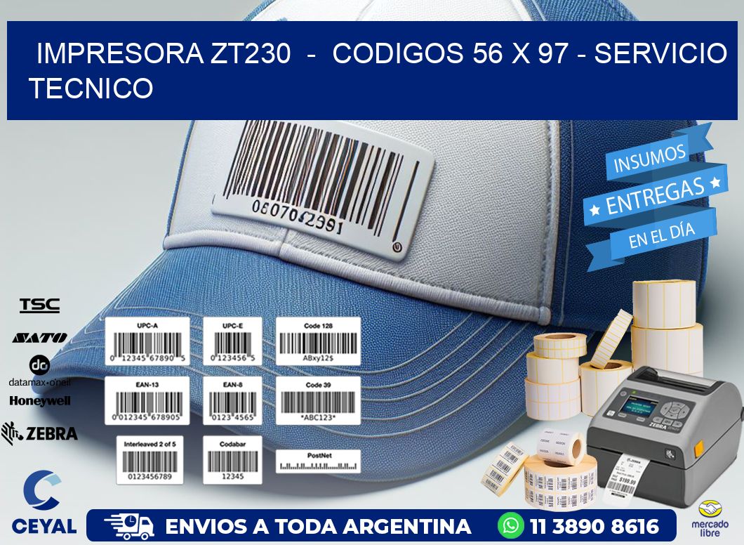IMPRESORA ZT230  -  CODIGOS 56 x 97 - SERVICIO TECNICO