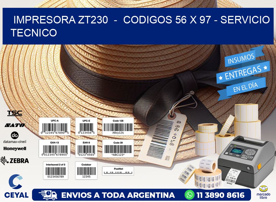 IMPRESORA ZT230  -  CODIGOS 56 x 97 - SERVICIO TECNICO