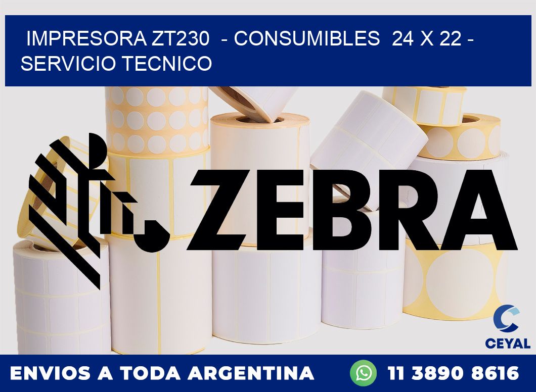 IMPRESORA ZT230  - CONSUMIBLES  24 x 22 - SERVICIO TECNICO
