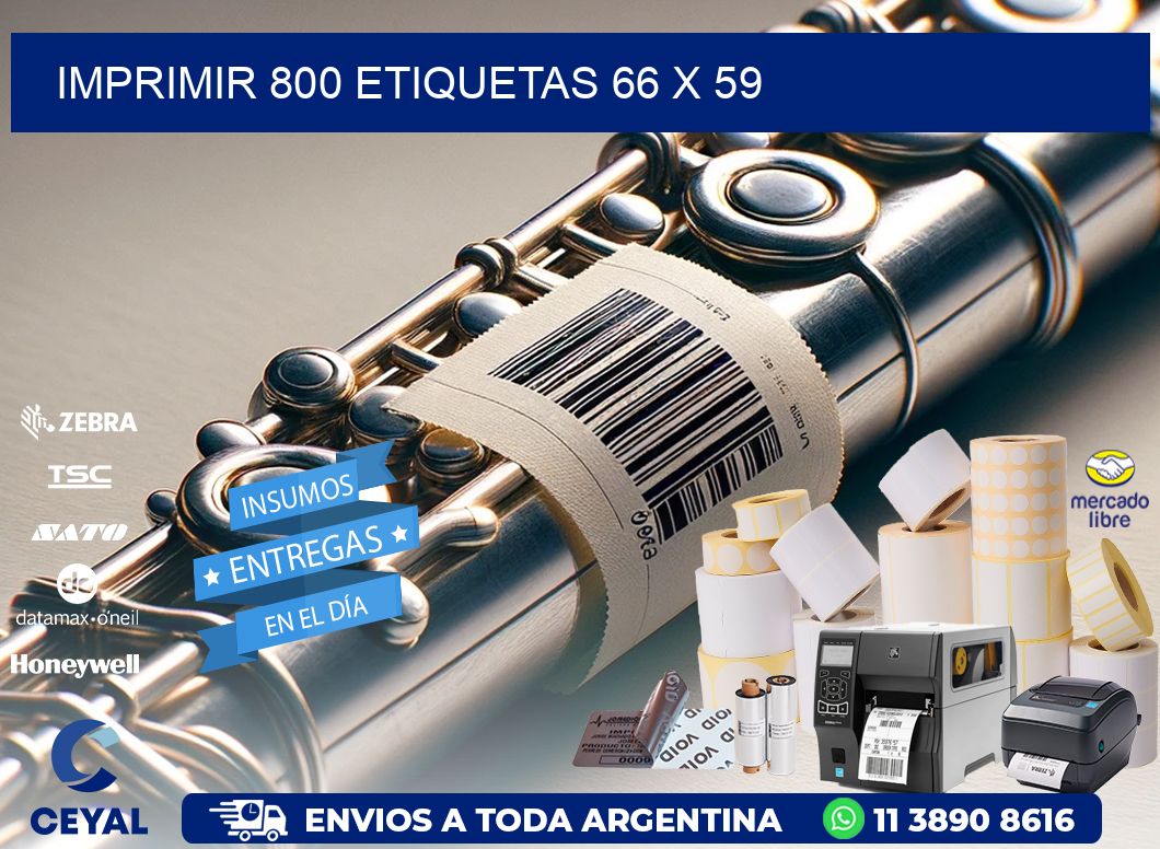 IMPRIMIR 800 ETIQUETAS 66 x 59