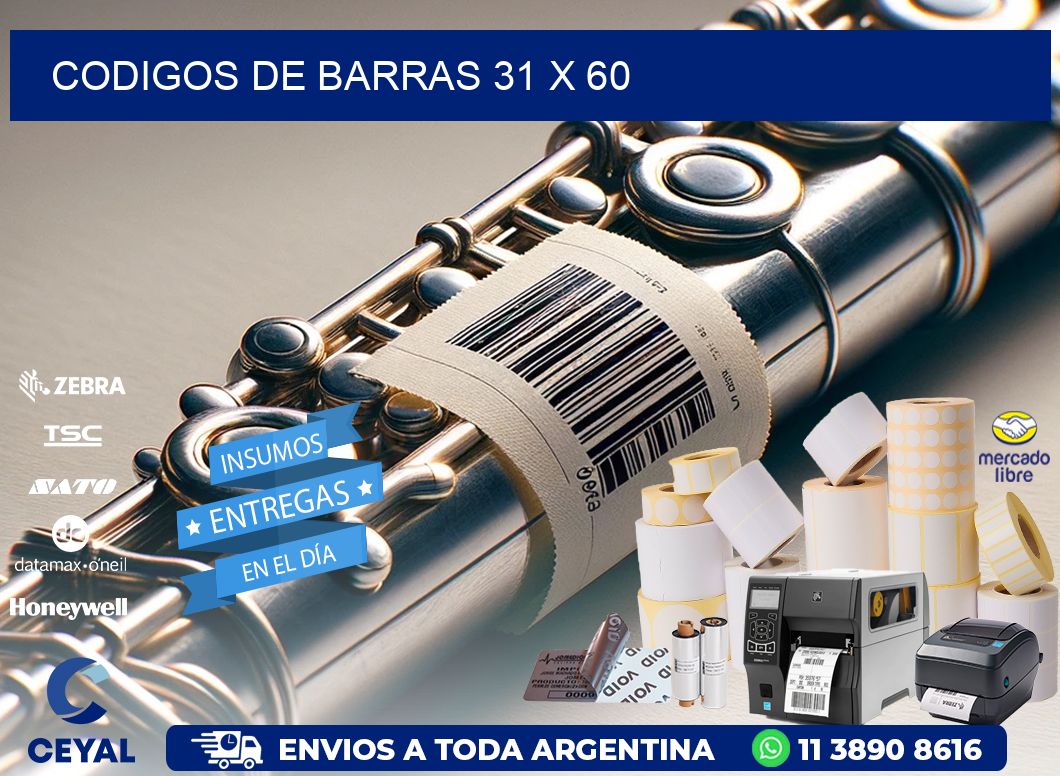 codigos de barras 31 x 60