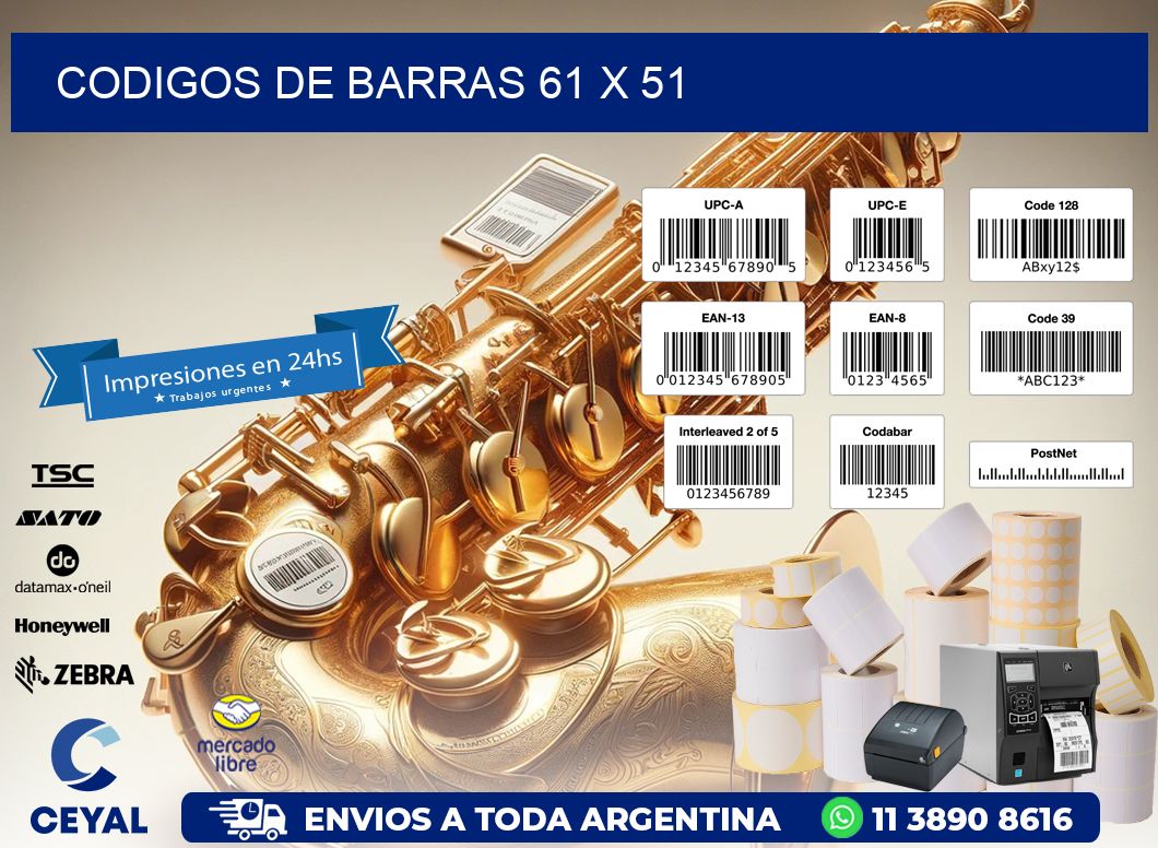 codigos de barras 61 x 51