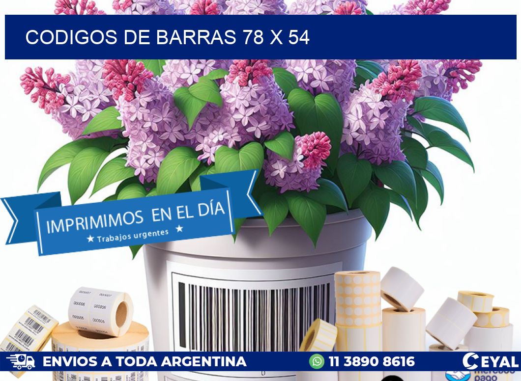 codigos de barras 78 x 54