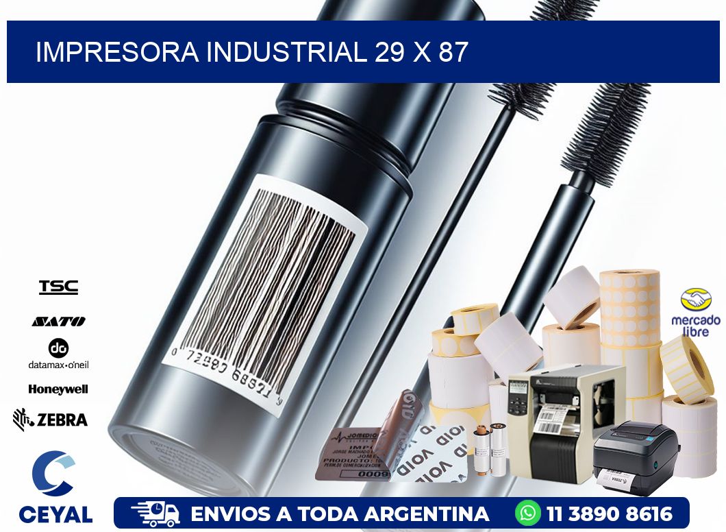 impresora industrial 29 x 87