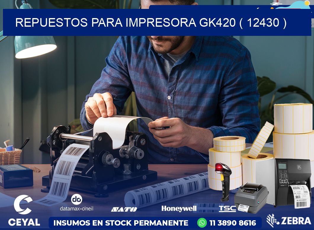 REPUESTOS PARA IMPRESORA GK420 ( 12430 )
