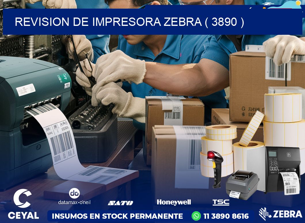 REVISION DE IMPRESORA ZEBRA ( 3890 )