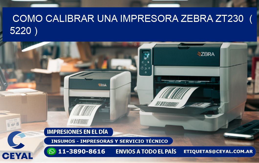 como calibrar una impresora zebra zt230 ( 5220 )