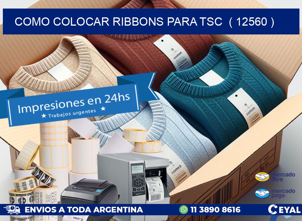 COMO COLOCAR RIBBONS PARA TSC  ( 12560 )