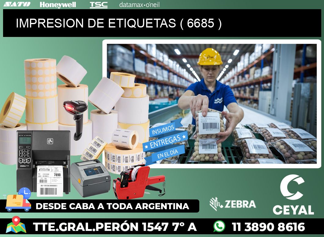IMPRESION DE ETIQUETAS ( 6685 )