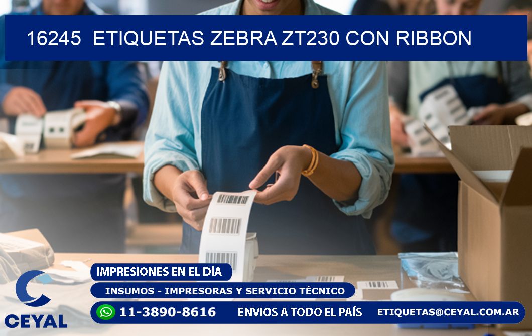 16245  ETIQUETAS ZEBRA ZT230 CON RIBBON