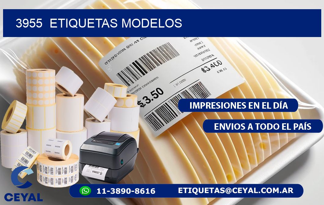 3955  ETIQUETAS MODELOS