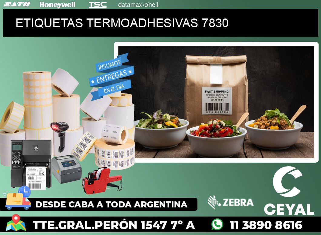 ETIQUETAS TERMOADHESIVAS 7830
