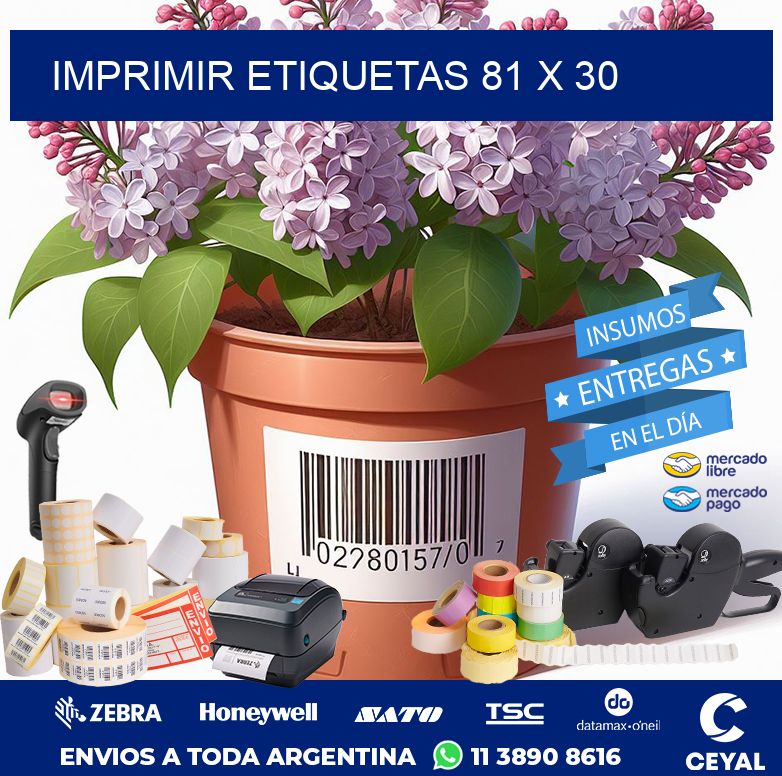 IMPRIMIR ETIQUETAS 81 x 30