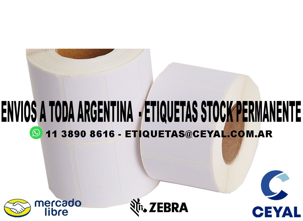 INDUSTRIA ARGENTINA 100 ETIQUETAS IMPRESAS  22 x 44