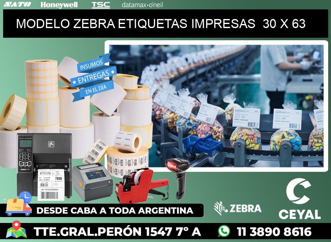 MODELO ZEBRA ETIQUETAS IMPRESAS  30 x 63