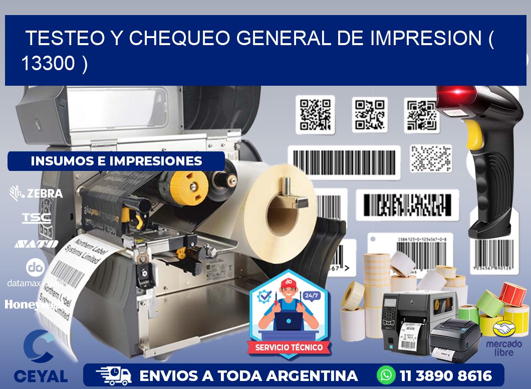 TESTEO Y CHEQUEO GENERAL DE IMPRESION ( 13300 )