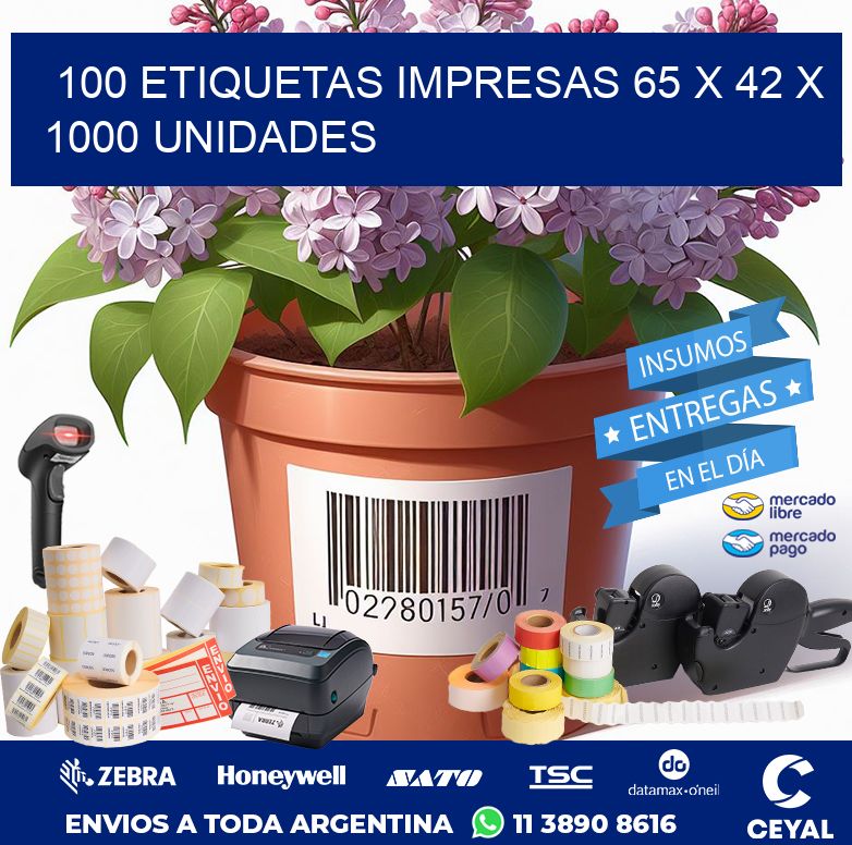 100 ETIQUETAS IMPRESAS 65 x 42 X 1000 UNIDADES