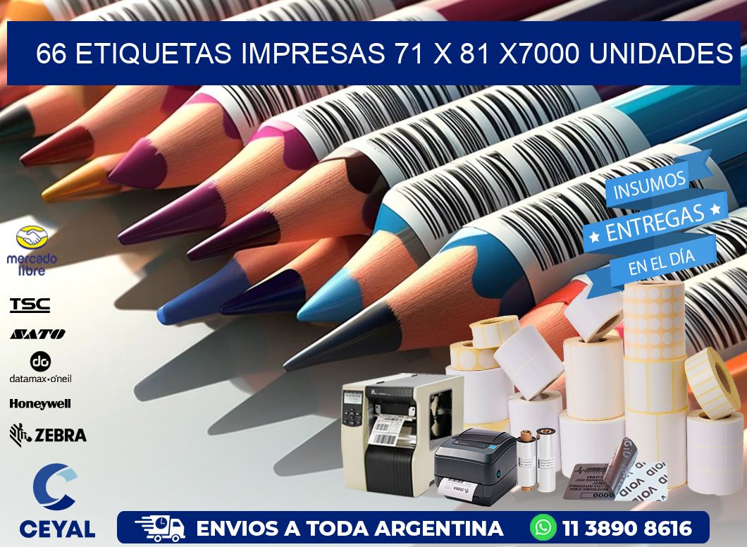 66 ETIQUETAS IMPRESAS 71 x 81 X7000 UNIDADES