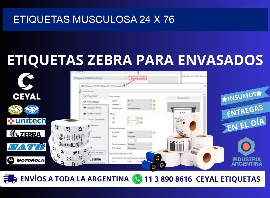 ETIQUETAS MUSCULOSA 24 x 76