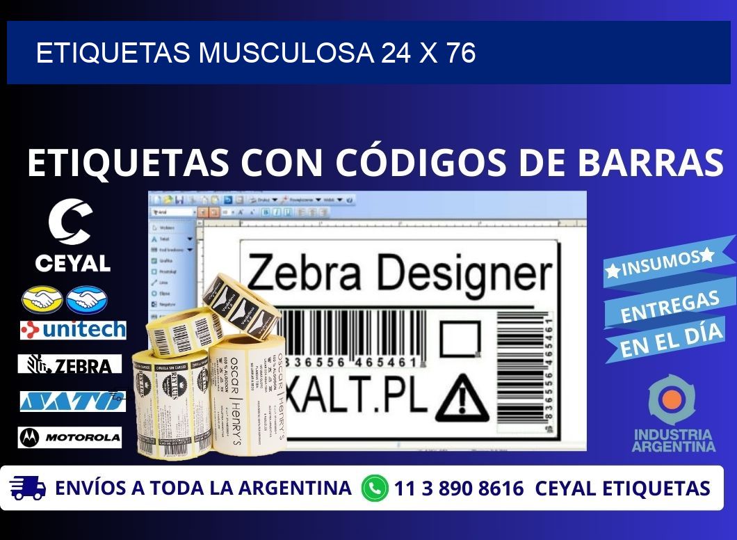 ETIQUETAS MUSCULOSA 24 x 76