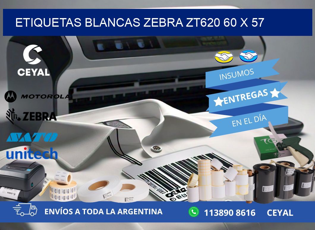 ETIQUETAS BLANCAS ZEBRA ZT620 60 x 57