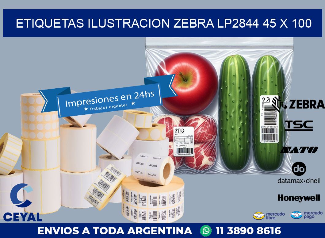 ETIQUETAS ILUSTRACION ZEBRA LP2844 45 x 100