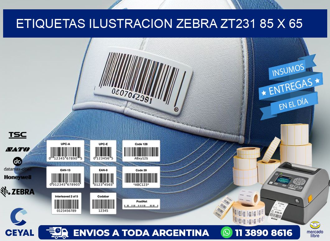 ETIQUETAS ILUSTRACION ZEBRA ZT231 85 x 65