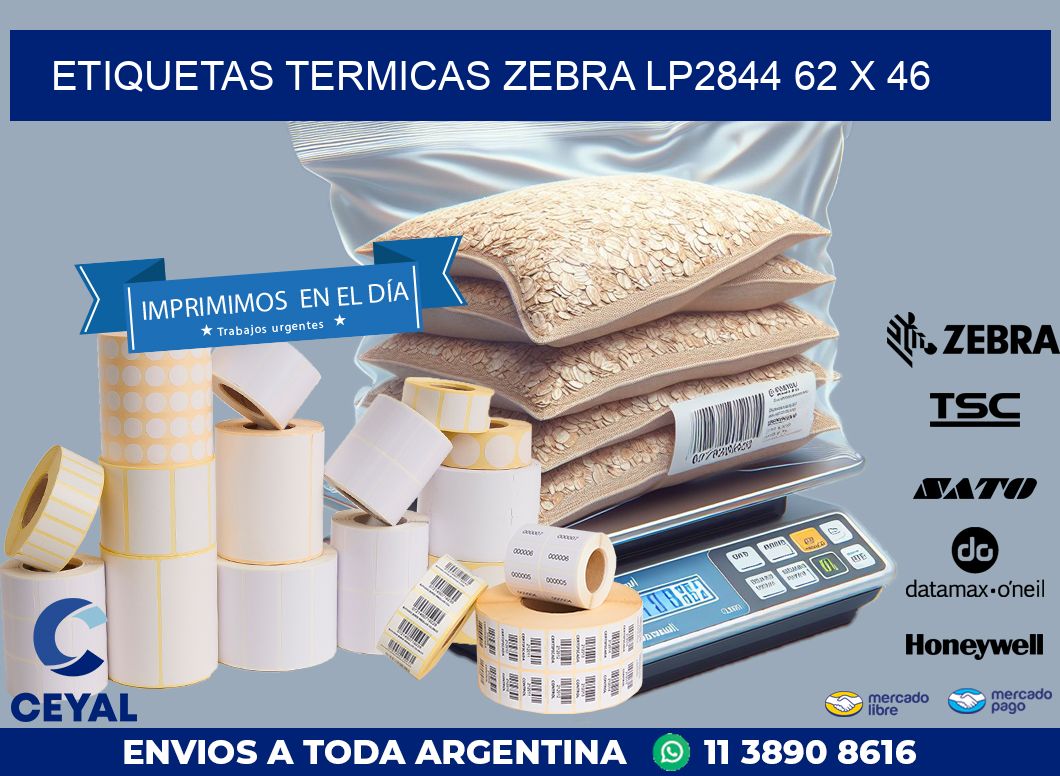 ETIQUETAS TERMICAS ZEBRA LP2844 62 x 46