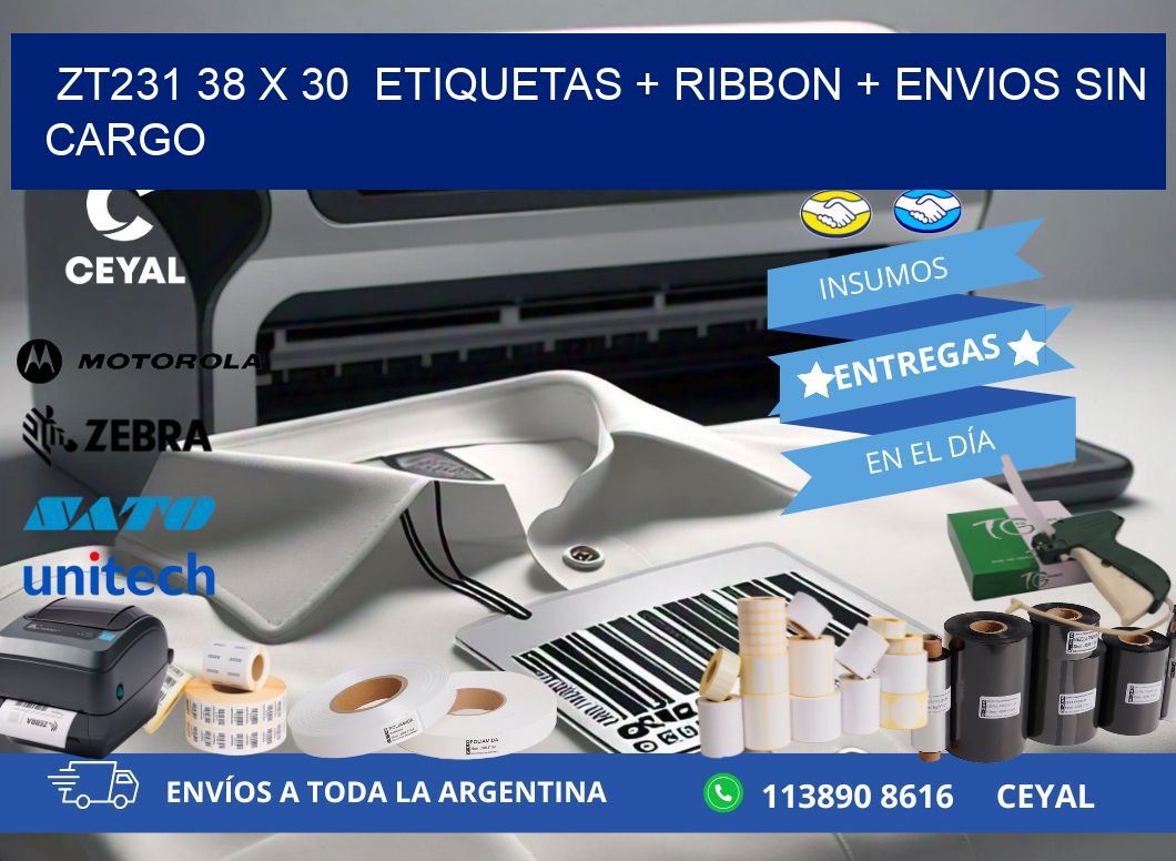 ZT231 38 x 30  etiquetas + ribbon + envios sin cargo