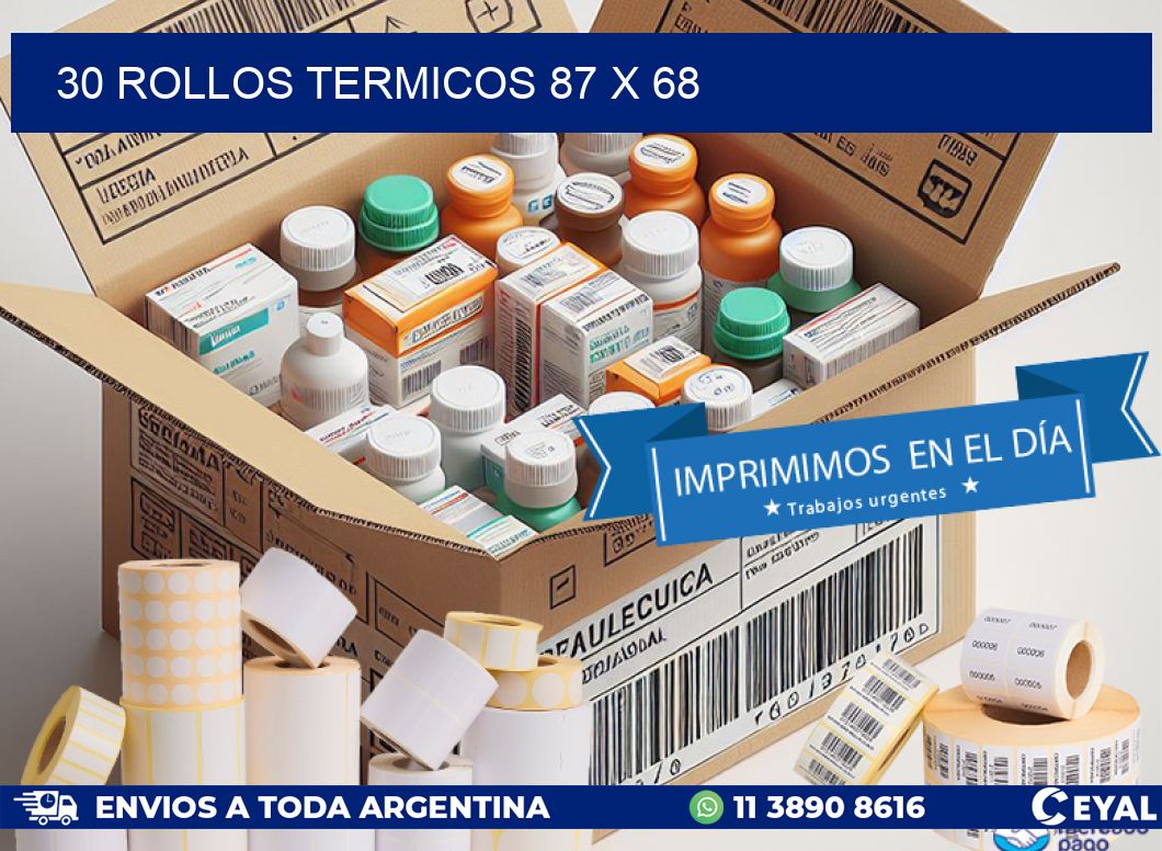 30 ROLLOS TERMICOS 87 x 68