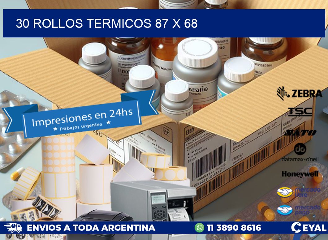 30 ROLLOS TERMICOS 87 x 68
