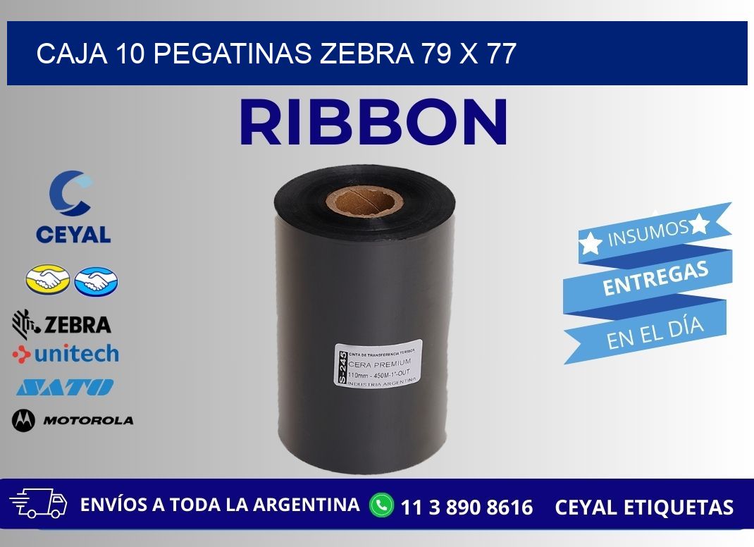 CAJA 10 PEGATINAS ZEBRA 79 x 77