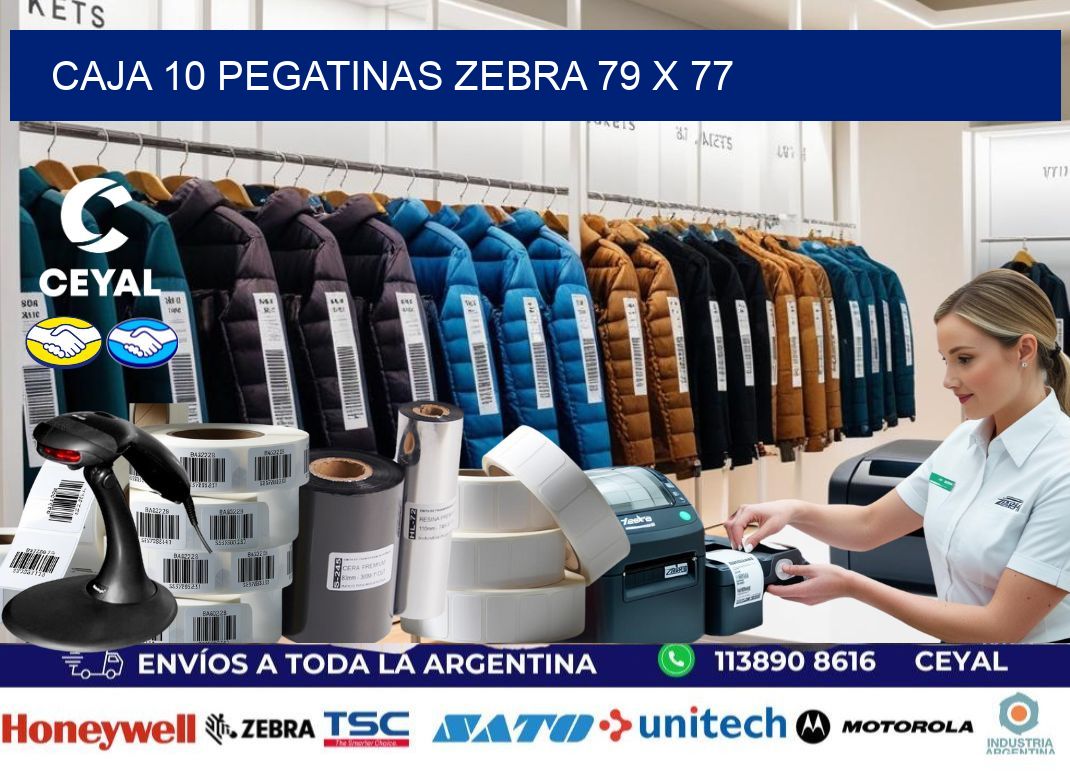 CAJA 10 PEGATINAS ZEBRA 79 x 77