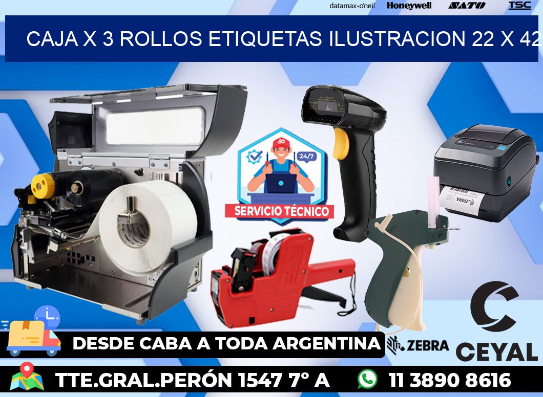 Caja X 3 Rollos Etiquetas Ilustracion 22 x 42