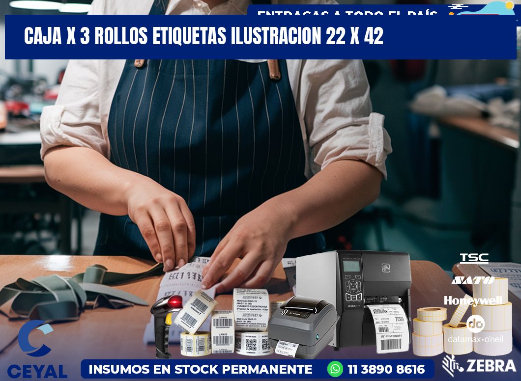 Caja X 3 Rollos Etiquetas Ilustracion 22 x 42