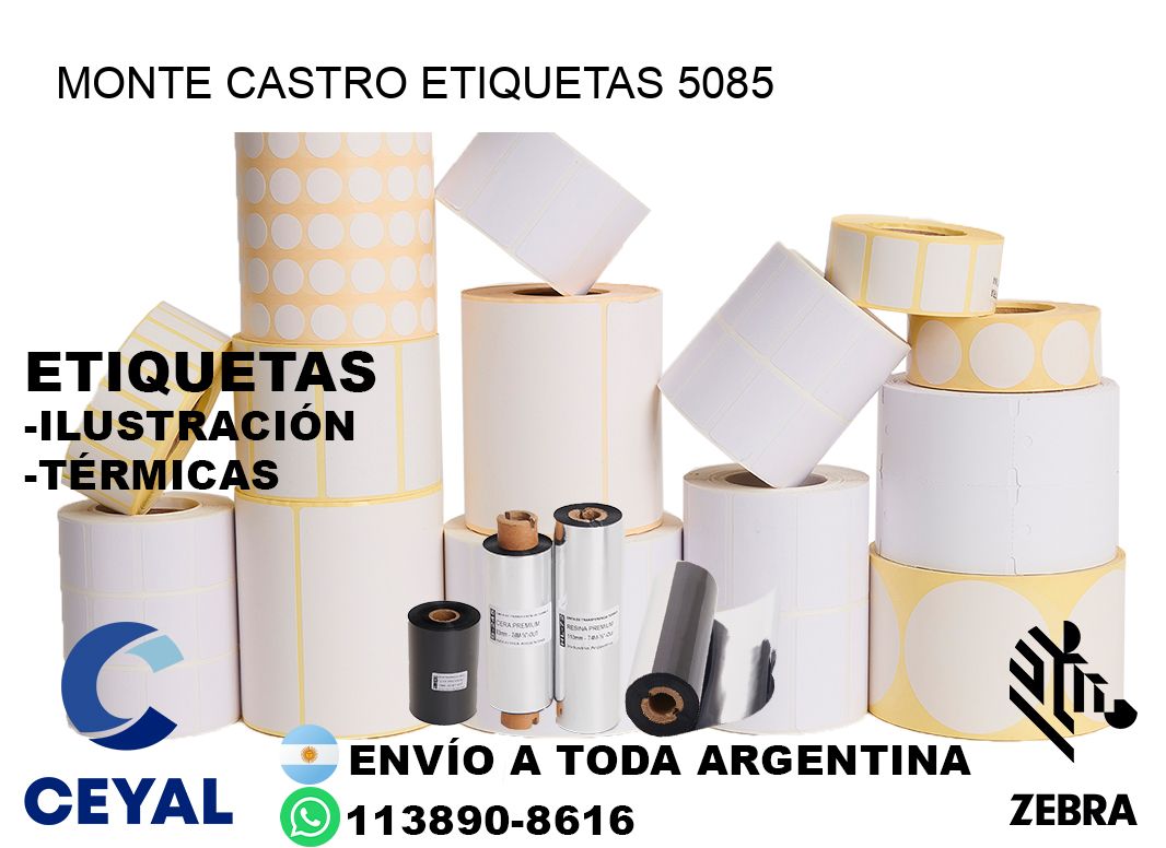 Monte Castro etiquetas 5085